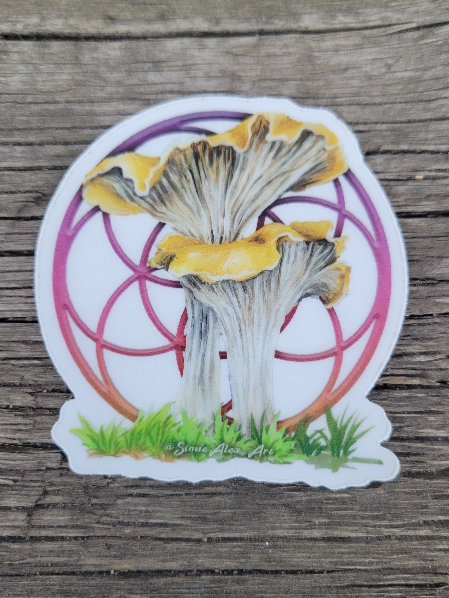 Transparent Chantrelle Sticker