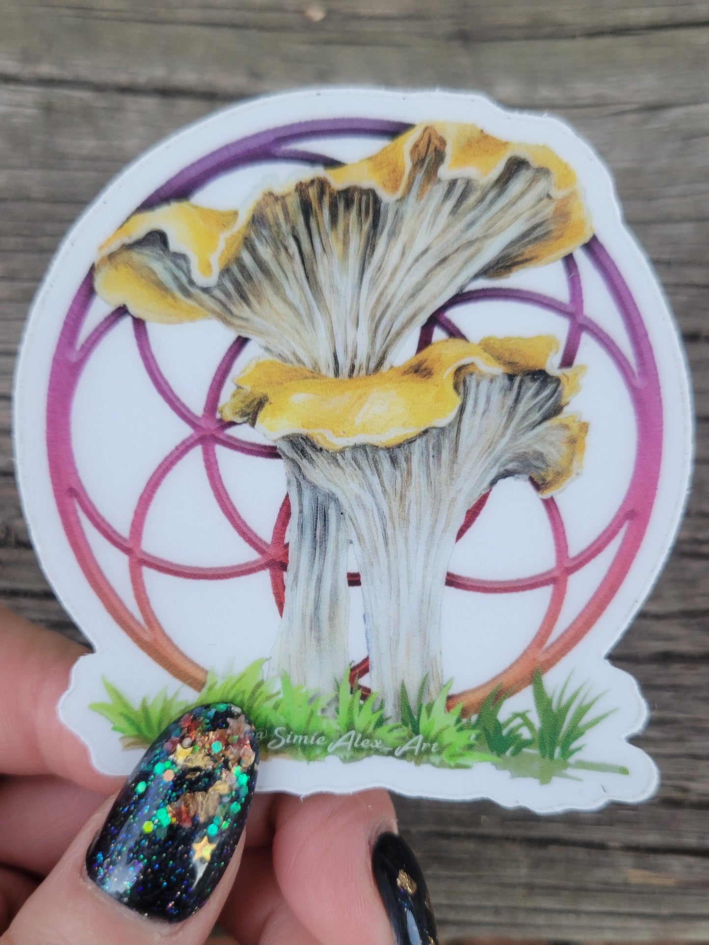 Transparent Chantrelle Sticker